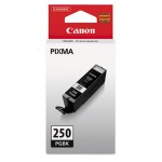 (PGI-250) ChromaLife100+ Ink, Black CNM6497B001