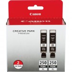 Canon PGI-250 Pigment Black XL Twin Pack PGI250XL2PK