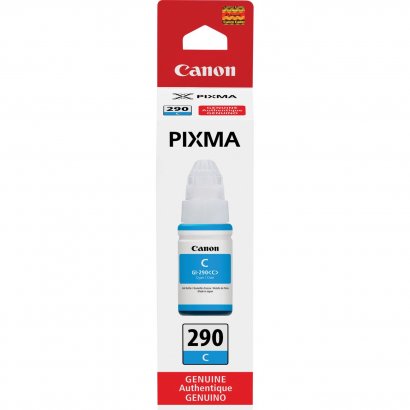 Canon PIXMA GI-290 Ink Bottle GI290C