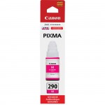 Canon PIXMA GI-290 Ink Bottle GI290M