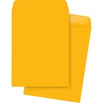 Business Source Plain Catalog Envelope 42101