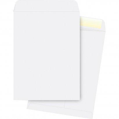 Business Source Plain Catalog Envelope 42103