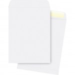 Business Source Plain Catalog Envelope 42103