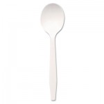 Dixie Plastic Cutlery, Mediumweight Soup Spoons, White, 1000/Carton DXEPSM21