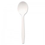 Dixie Plastic Cutlery, Mediumweight Soup Spoons, White, 1000/Carton DXEPSM21