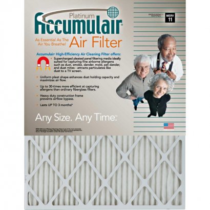 Accumulair Platinum Air Filter FA12X124