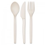 Eco-Products PolystyreneM Wrapped Cutlery Kit, White, 250/Carton ECOEPS005