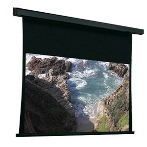 Draper Premier Electric Projection Screen 101641