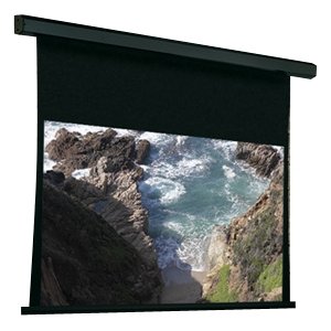 Draper Premier Projection Screen 101387