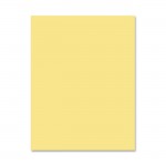 Premium-Grade Pastel Goldenrod Copy Paper 05125