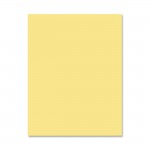Premium-Grade Pastel Goldenrod Copy Paper 05125
