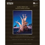 Epson Premium Photo Paper S041913