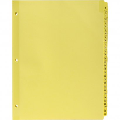 Business Source Preprinted 1-31 Tab Index Dividers 01808