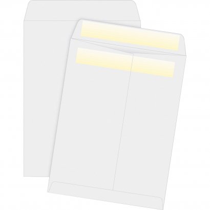 Business Source Press-To-Seal Catalog Envelopes 04648