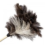 UNS 13FD Professional Ostrich Feather Duster, 7" Handle BWK13FD