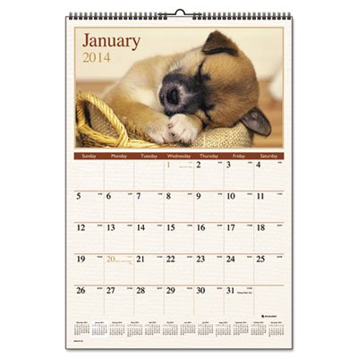 At-A-Glance Puppies Monthly Wall Calendar, 15 1/2 x 22 3/4, 2016 AAGDMW16728