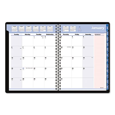 At-A-Glance QuickNotes Special Edition Monthly Planner, 9 1/4 x 11 3/8, Black/Pink, 2016 AAG76PN0605