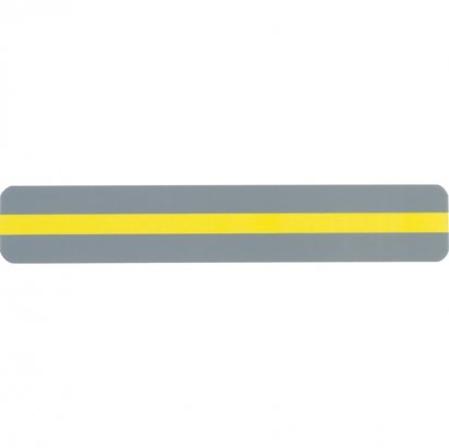 Ashley Reading Guide Strips 10850