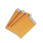 Quality Park Redi-Strip Catalog Envelope, 6 x 9, Brown Kraft, 100/Box QUA44162