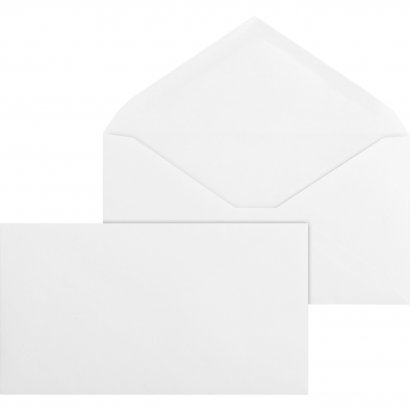 Business Source Regular Commercial Envelope 42252