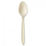 SCC RSAT Reliance Mediumweight Cutlery, Teaspoon, Champagne, 1000/Carton SCCRSAT