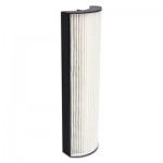 Replacement Filter for  200 Air Purifier, 5 x 3 x 17 ION10AP200RF01