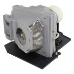 Replacement Lamp 310-6896-BTI