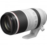 Canon RF100-500mm F4.5-7.1 L IS USM 4112C002