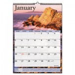At-A-Glance Scenic Monthly Wall Calendar, 12 x 17, 2016 AAGDMW20028