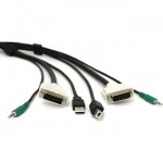 Black Box Secure DVI KVM Cable - USB A-B, 3.5mm Audio, 10-ft SKVMCBL-DVI-10
