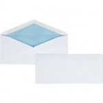 Business Source Security Regular Envelope 42206