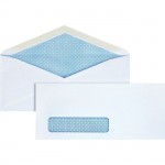 Business Source Security Window Envelope 42205