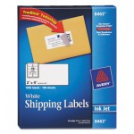 Avery Shipping Labels w/Ultrahold Ad & TrueBlock, Inkjet, 2 x 4, White, 1000/Box AVE8463