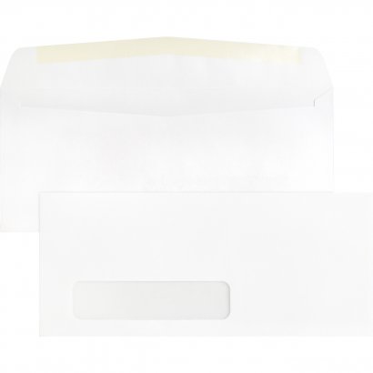 Business Source Single Window Envelope 42251