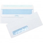 Business Source Single Window Envelope 42207