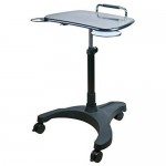 Ergoguys Sit and Stand Mobile Laptop Workstation, Black LPD008P