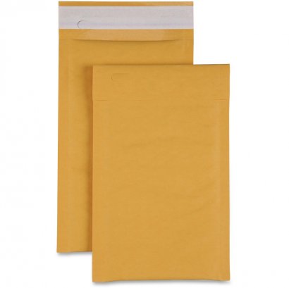 Size 0 Bubble Cushioned Mailers 74980