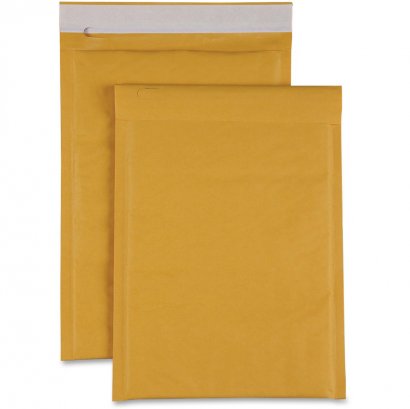 Size 00 Bubble Cushioned Mailers 74979