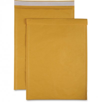 Size 6 Bubble Cushioned Mailers 74986