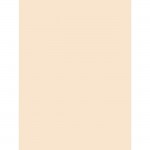 Pacon Tagboard Paper 5120
