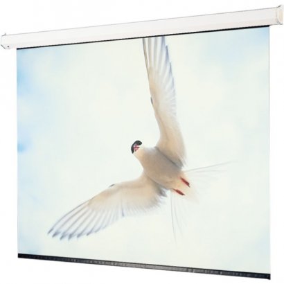 Targa Electrol Projection Screen 116342