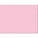 Pacon Tru-Ray Construction Paper 103076
