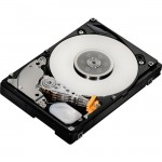 HGST Ultrastar C10K600 Hard Drive 0B25850