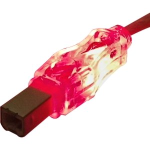 QVS USB 2.0 480Mbps Type A Male to B Male Translucent Cable with LEDs CC2209C-10RDL