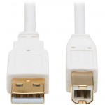 Tripp Lite USB-A to USB-B Antibacterial Cable (M/M), USB 2.0, White, 6 ft U022AB-006-WH