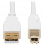 Tripp Lite USB-A to USB-B Antibacterial Cable (M/M), USB 2.0, White, 10 ft U022AB-010-WH