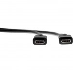Rocstor USB-C Cable - M/M - 1 m (3 ft.) - USB 2.0 Y10C139-B1