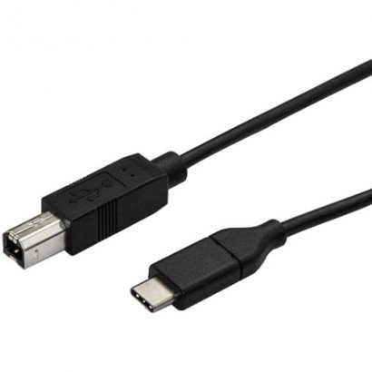 StarTech.com USB-C to USB-B Printer Cable - M/M - 0.5 m - USB 2.0 USB2CB50CM