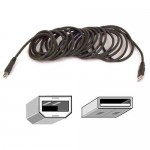 Belkin USB Cable F3U133B10