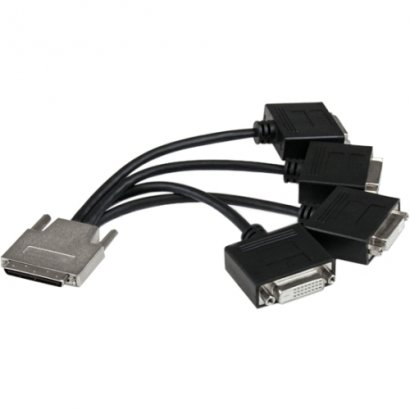 StarTech VHDCI to Quad DVI Splitter Breakout Cable - VHDCI (M) to 4x DVI-D (F) VHDCI24DVI